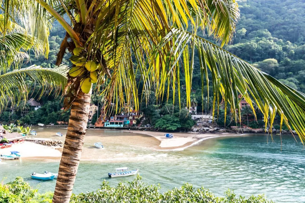 Campsite Boca De Tomatlan Luxury Boutique Hotel Accommodations Puerto Vallarta